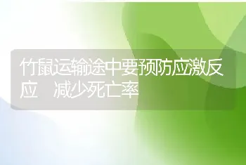 竹鼠运输途中要预防应激反应 减少死亡率