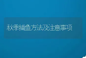 秋季捕鱼方法及注意事项