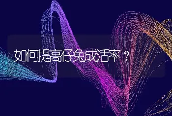 如何提高仔兔成活率？