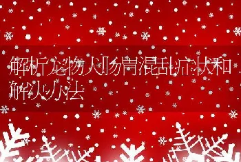 解析宠物犬肠胃混乱症状和解决办法