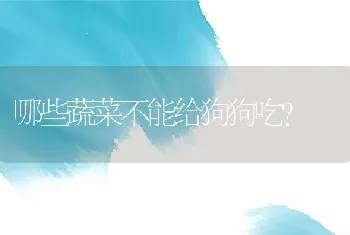 哪些蔬菜不能给狗狗吃？