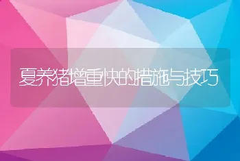 夏养猪增重快的措施与技巧