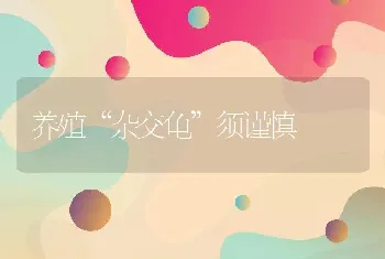 养殖“杂交龟”须谨慎