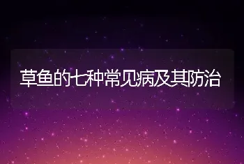 草鱼的七种常见病及其防治