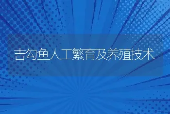 吉勾鱼人工繁育及养殖技术