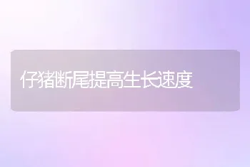 仔猪断尾提高生长速度