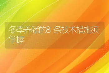 冬季养猪的8条技术措施须掌握