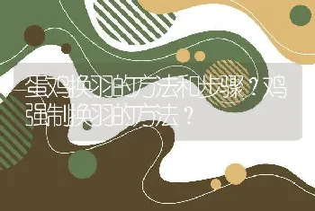 蛋鸡换羽的方法和步骤？鸡强制换羽的方法？