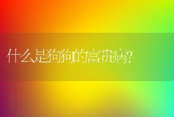 什么是狗狗的富贵病？