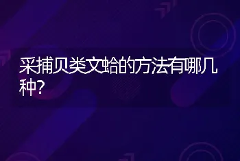 采捕贝类文蛤的方法有哪几种？