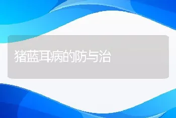 猪蓝耳病的防与治