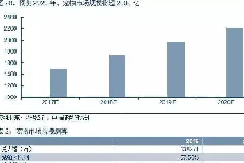 宠物经济崛起的背后，是孤独加了一把柴吗？