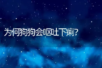 为何狗狗会呕吐下痢？