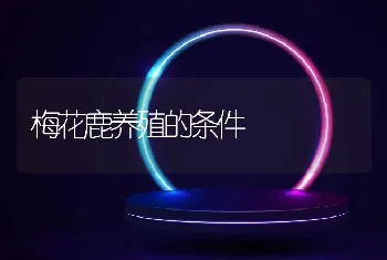 梅花鹿养殖的条件