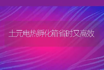 土元电热孵化箱省时又高效