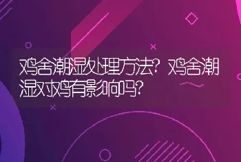 鸡舍潮湿处理方法?鸡舍潮湿对鸡有影响吗?