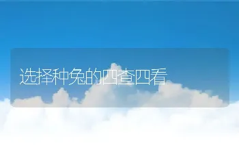 选择种兔的四查四看