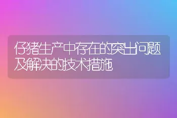 仔猪生产中存在的突出问题及解决的技术措施