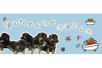 德国牧羊犬幼犬洗澡怎么洗