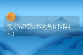 兔场的消毒,到底应该几次?