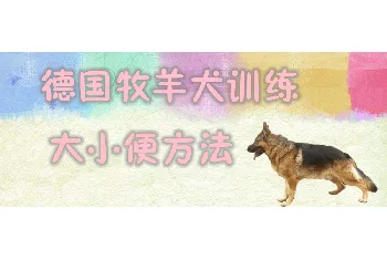 德国牧羊犬训练大小便有哪些方法