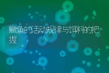 鳜鱼的活动规律与饵料的把握