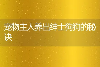 宠物主人养出绅士狗狗的秘诀