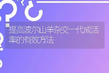 提高波尔山羊杂交一代成活率的有效方法