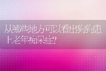 从哪些地方可以看出狗狗患上老年痴呆症？