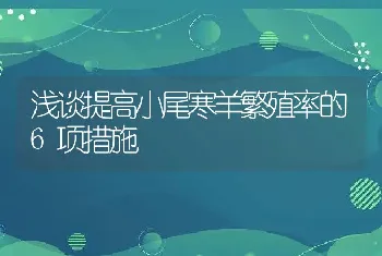 浅谈提高小尾寒羊繁殖率的6项措施