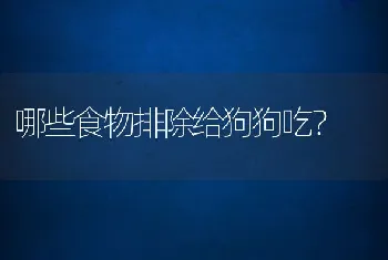 哪些食物排除给狗狗吃？