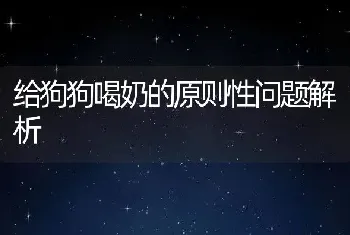 给狗狗喝奶的原则性问题解析