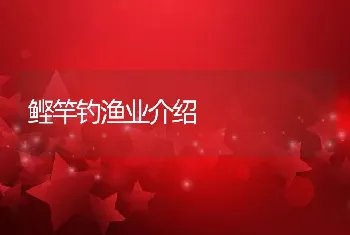 鲣竿钓渔业介绍