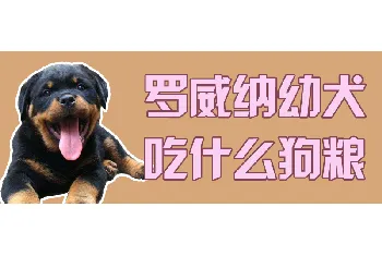 罗威纳幼犬吃什么狗粮