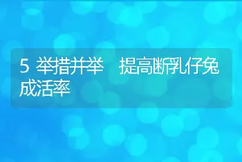 5举措并举 提高断乳仔兔成活率