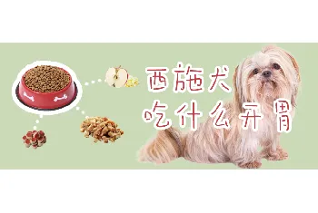 西施犬吃什么开胃