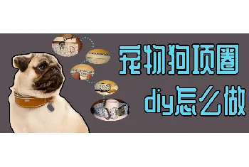 宠物狗项圈diy怎么做