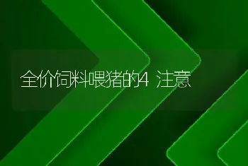 全价饲料喂猪的4注意