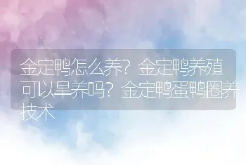 金定鸭怎么养？金定鸭养殖可以旱养吗？金定鸭蛋鸭圈养技术