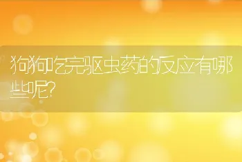 狗狗吃完驱虫药的反应有哪些呢？