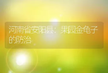 河南省安阳县：果园金龟子的防治