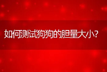 如何测试狗狗的胆量大小？