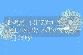 野鸡属于保护动物吗？可以人工养殖吗？养野鸡需要办什么手续吗？