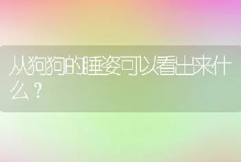 从狗狗的睡姿可以看出来什么？