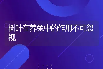 树叶在养兔中的作用不可忽视