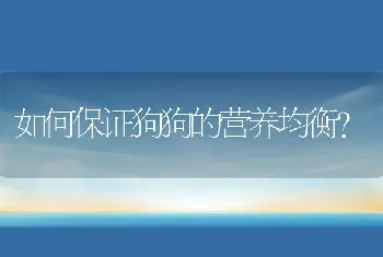 如何保证狗狗的营养均衡？