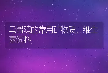 乌骨鸡的常用矿物质、维生素饲料