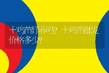 土鸡苗好养吗？土鸡苗批发价格多少？