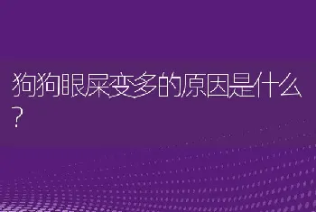 狗狗眼屎变多的原因是什么?