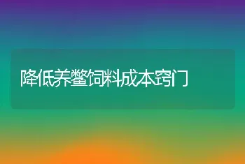 降低养鳖饲料成本窍门